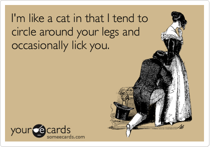 I'm like a cat in that I tend to
circle around your legs and 
occasionally lick you.