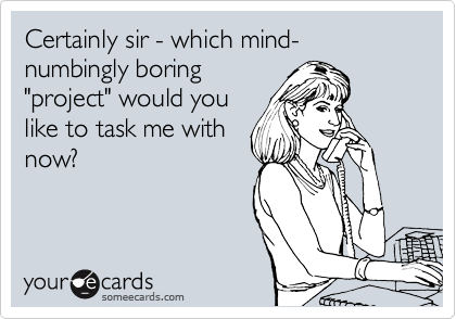 Certainly sir - which mind-numbingly boring
"project" would you
like to task me with
now?