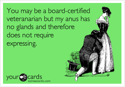 You may be a board-certified 
veteranarian but my anus has
no glands and therefore
does not require
expressing.