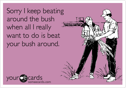 Sorry I keep beating
around the bush
when all I really 
want to do is beat
your bush around.