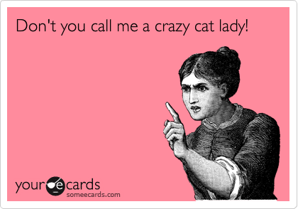 Don't you call me a crazy cat lady! 
