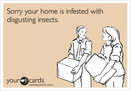Sorry your home is infested with disgusting insects.