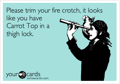 Please trim your fire crotch, it looks like you have
Carrot Top in a
thigh lock.