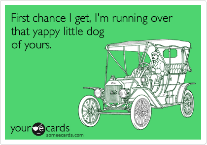 First chance I get, I'm running over that yappy little dog 
of yours.