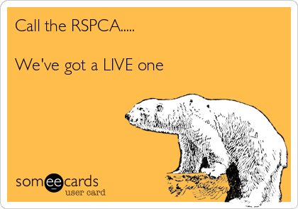 call-the-rspca-weve-got-a-live-one-ac380.png