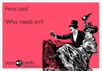 Feral cats!

Who needs em?

               

