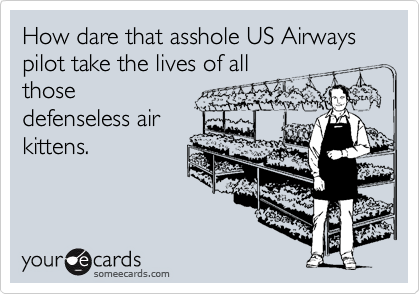 How dare that asshole US Airways pilot take the lives of allthosedefenseless airkittens.