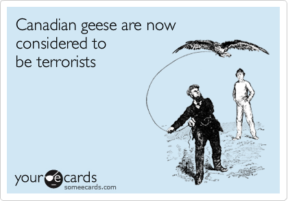 Canadian geese are now considered to be terrorists