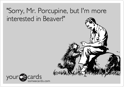 "Sorry, Mr. Porcupine, but I'm more interested in Beaver!"