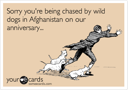 Sorry you're being chased by wild dogs in Afghanistan on our anniversary...