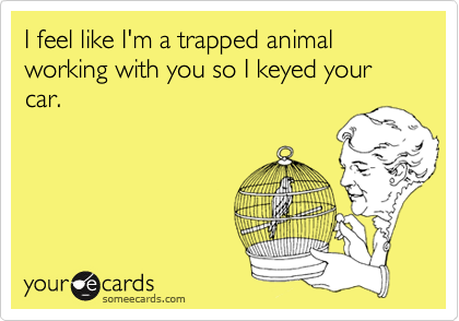 I feel like I'm a trapped animal working with you so I keyed your car.