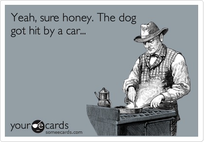 Yeah, sure honey. The dog
got hit by a car...