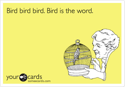 Bird bird bird. Bird is the word.