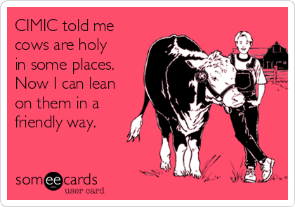 CIMIC told me
cows are holy
in some places.
Now I can lean
on them in a
friendly way.