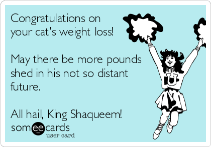 Congratulations on
your cat's weight loss!

May there be more pounds
shed in his not so distant
future.

All hail, King Shaqueem!