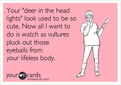 Your "deer in the head
lights" look used to be so
cute. Now all I want to
do is watch as vultures
pluck out those
eyeballs from
your lifeless body.