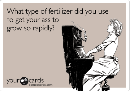 What type of fertilizer did you use to get your ass togrow so rapidly?