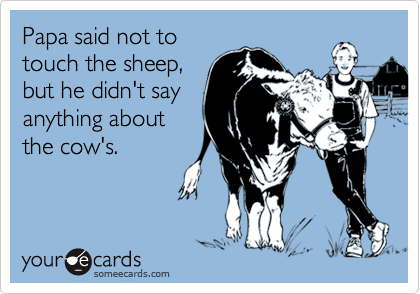 Papa said not to
touch the sheep,
but he didn't say
anything about
the cow's.