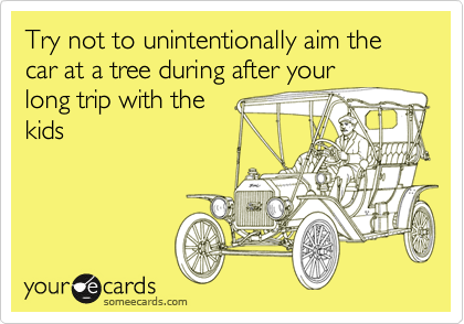 Try not to unintentionally aim the car at a tree during after your
long trip with the
kids