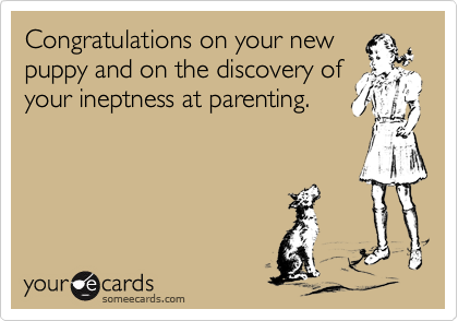 Congratulations on your new
puppy and on the discovery of
your ineptness at parenting.