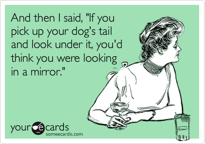 And then I said, "If you
pick up your dog's tail
and look under it, you'd
think you were looking
in a mirror."