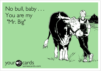 No bull, baby . . .
You are my
 "Mr. Big"