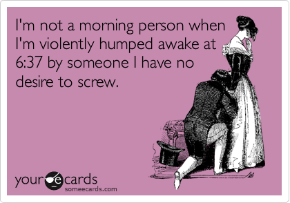 I'm not a morning person when
I'm violently humped awake at
6:37 by someone I have no
desire to screw.