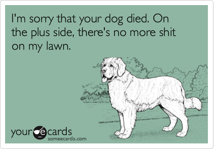 I'm sorry that your dog died. On the plus side, there's no more shit on my lawn.