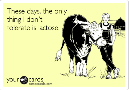 These days, the only
thing I don't
tolerate is lactose.
