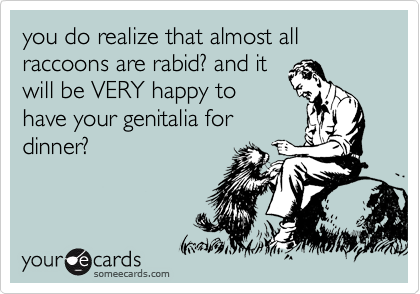 you do realize that almost all raccoons are rabid? and it
will be VERY happy to
have your genitalia for
dinner? 