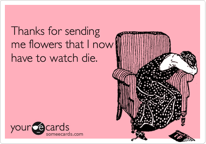 
Thanks for sending
me flowers that I now
have to watch die.