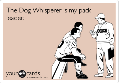 The Dog Whisperer is my pack
leader.