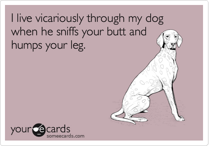 I live vicariously through my dog when he sniffs your butt and
humps your leg.