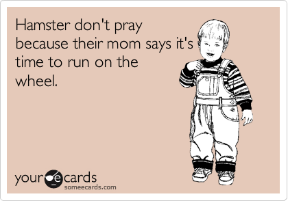Hamster don't pray
because their mom says it's
time to run on the
wheel.