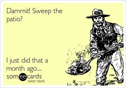Dammit! Sweep the
patio?




I just did that a
month ago....