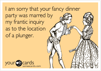 I am sorry that your fancy dinner
party was marred by
my frantic inquiry 
as to the location
of a plunger.