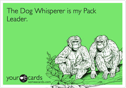 The Dog Whisperer is my Pack Leader.