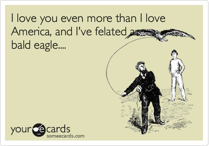 I love you even more than I love America, and I've felated abald eagle....