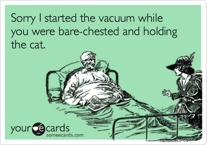 Sorry I started the vacuum while you were bare-chested and holding the cat.