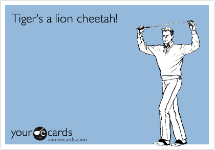 Tiger's a lion cheetah!