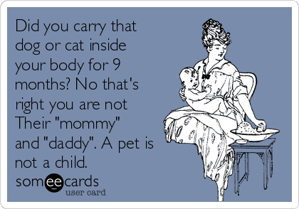 Did you carry that
dog or cat inside
your body for 9
months? No that's
right you are not 
Their "mommy"
and "daddy". A pet is 
not a child.