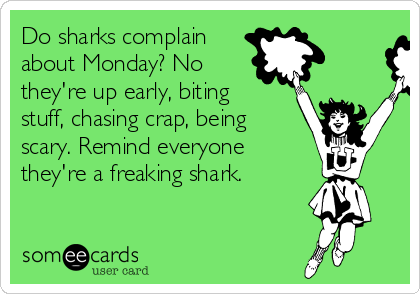 Do sharks complain
about Monday? No 
they're up early, biting
stuff, chasing crap, being
scary. Remind everyone 
they're a freaking shark.