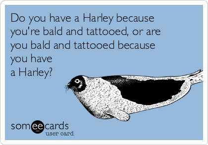 Do you have a Harley because
you're bald and tattooed, or are
you bald and tattooed because
you have
a Harley?