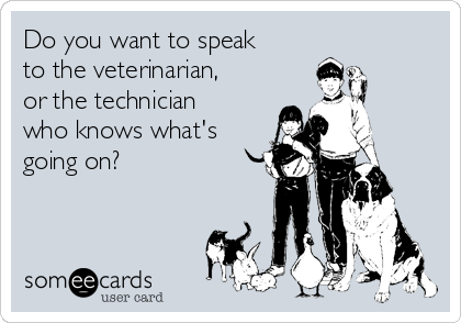 Do you want to speak
to the veterinarian,
or the technician
who knows what's
going on?