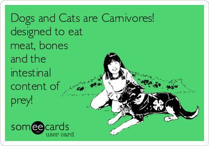 Dogs and Cats are Carnivores! 
designed to eat 
meat, bones
and the
intestinal
content of
prey!