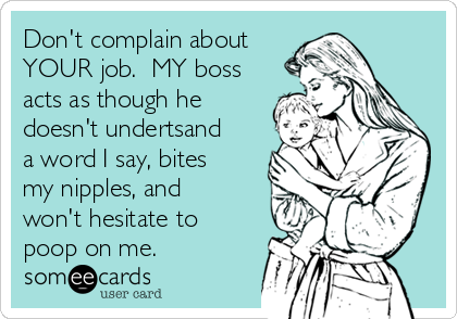 Don't complain about
YOUR job.  MY boss
acts as though he
doesn't undertsand
a word I say, bites
my nipples, and
won't hesitate to
poop on me.