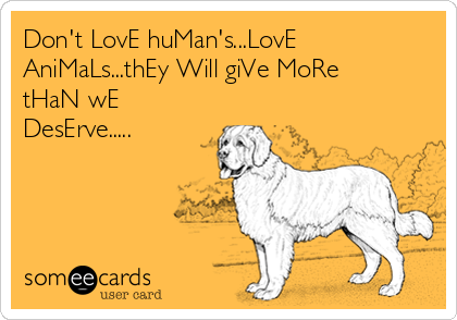 Don't LovE huMan's...LovE AniMaLs...thEy Will giVe MoRe tHaN wE  DesErve..... | Pets Ecard