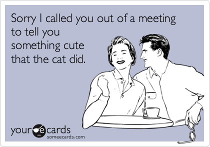 Sorry I called you out of a meeting to tell yousomething cutethat the cat did.