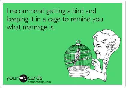 I recommend getting a bird and keeping it in a cage to remind you what marriage is.