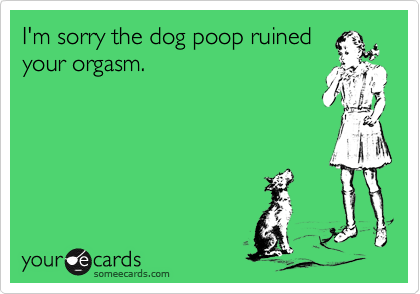 I m sorry the dog poop ruined your orgasm. Apology Ecard